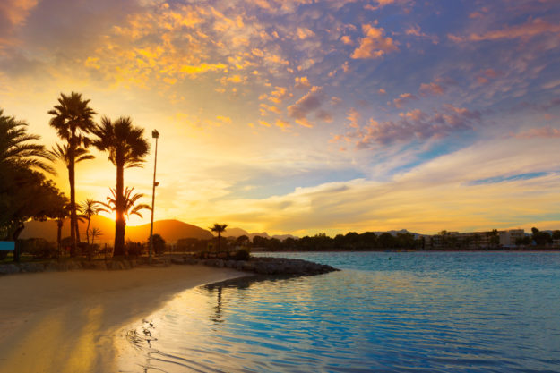 badiaalcudia