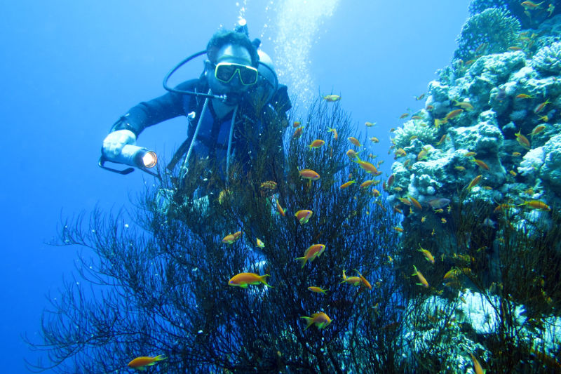 LANZAROTE: EL MEJOR ESCENARIO DONDE PRACTICAR DEPORTE - Blog