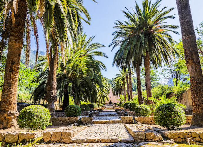 43+ frisch Bilder Botanischer Garten Mallorca - Mallorca Botanischer